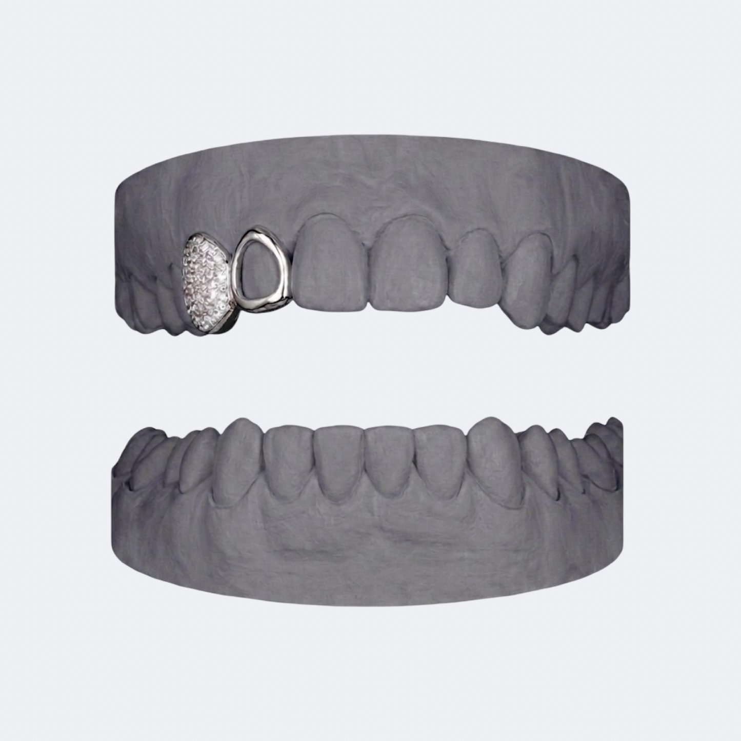 Iced Out Canine x Openface