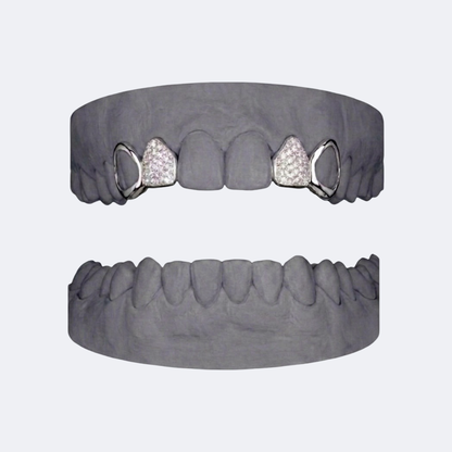 Iced Out x Openface Canine