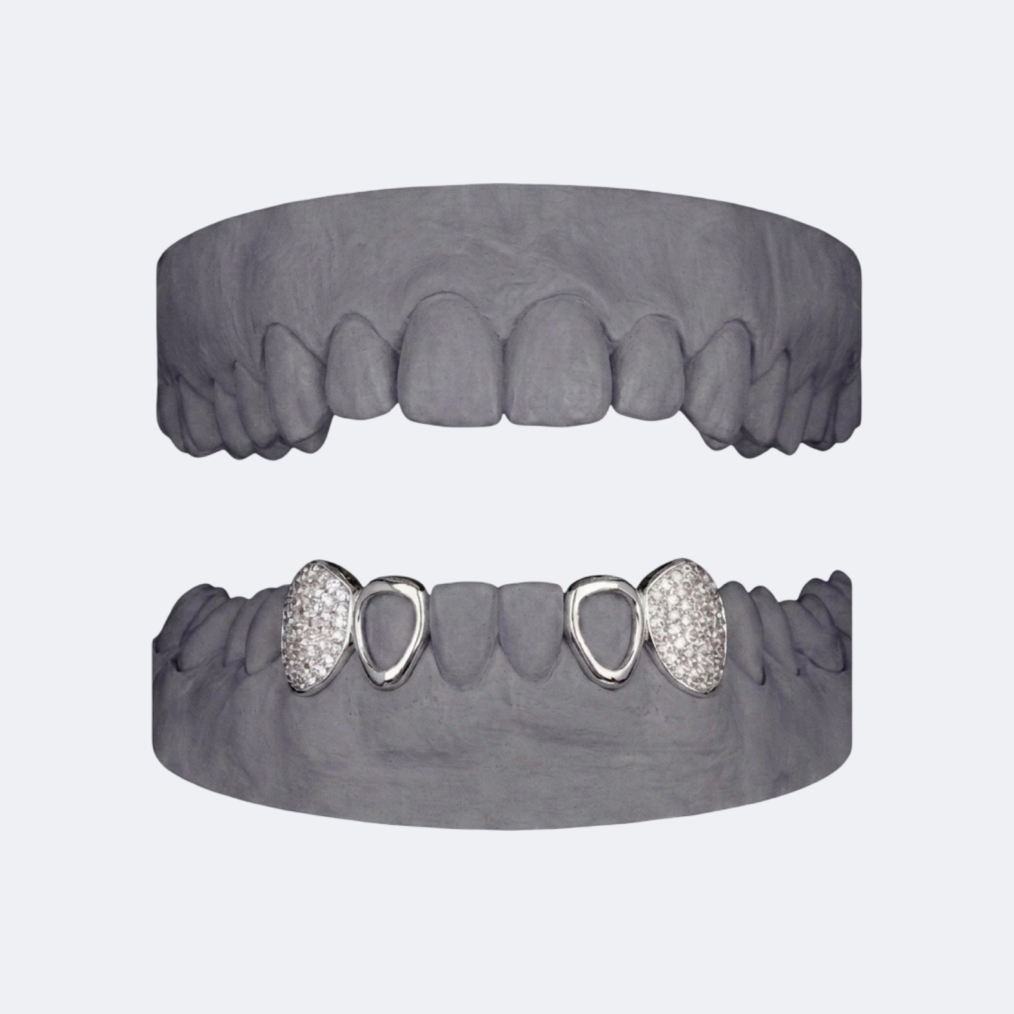 Iced Out Canine x Openface
