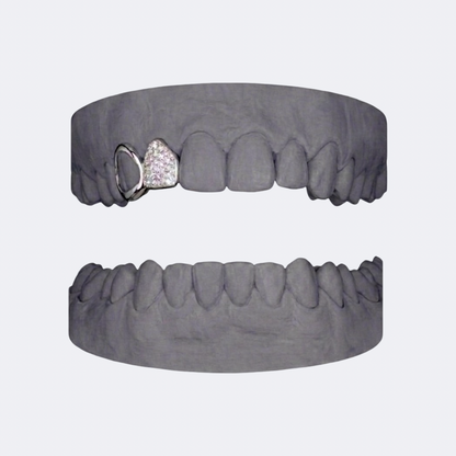 Iced Out x Openface Canine