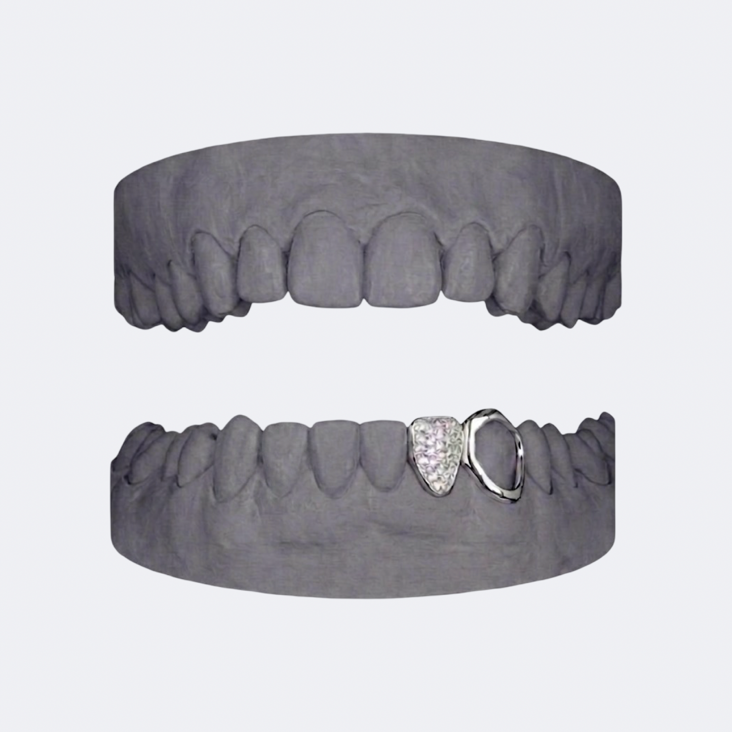 Iced Out x Openface Canine
