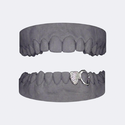 Iced Out x Openface Canine
