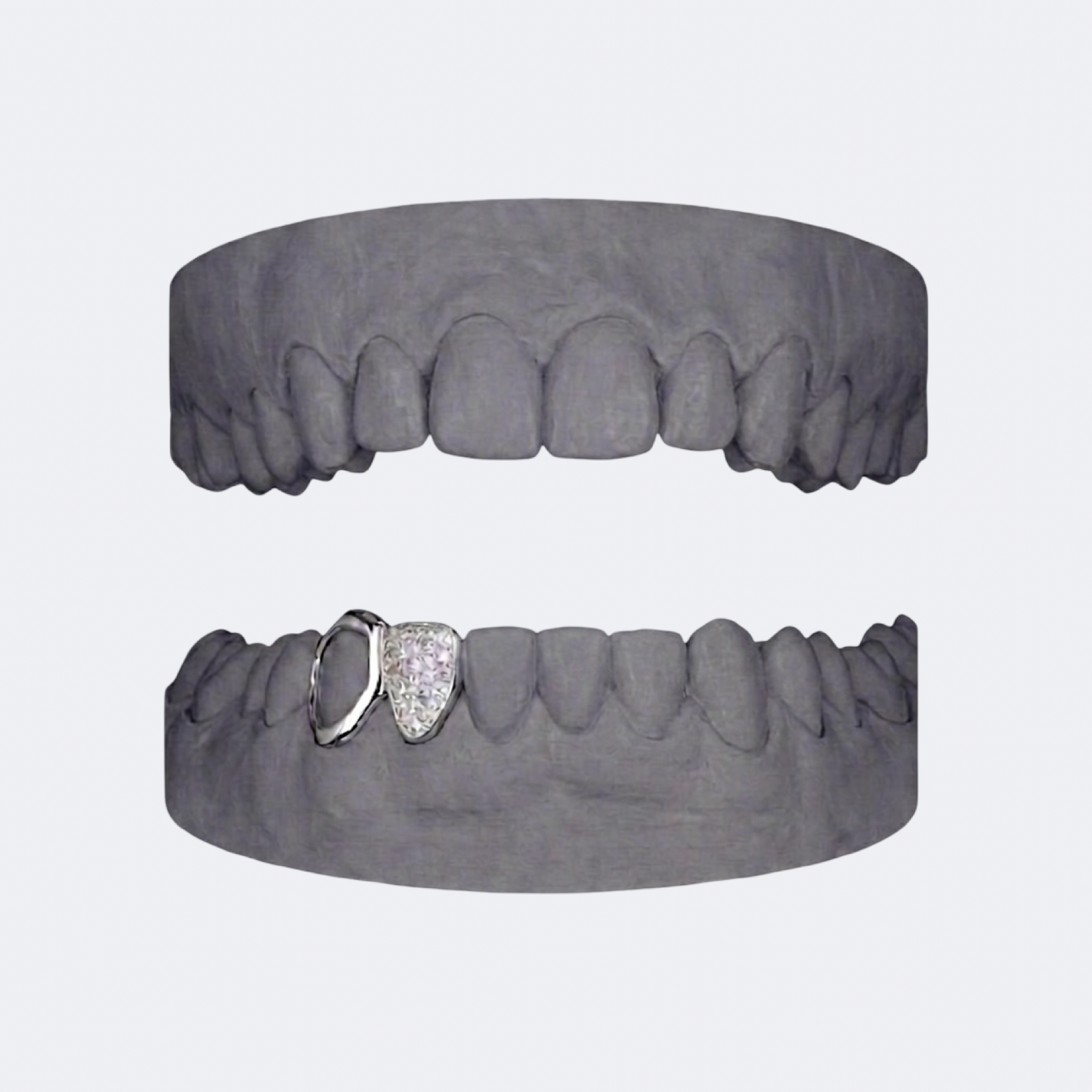 Iced Out x Openface Canine