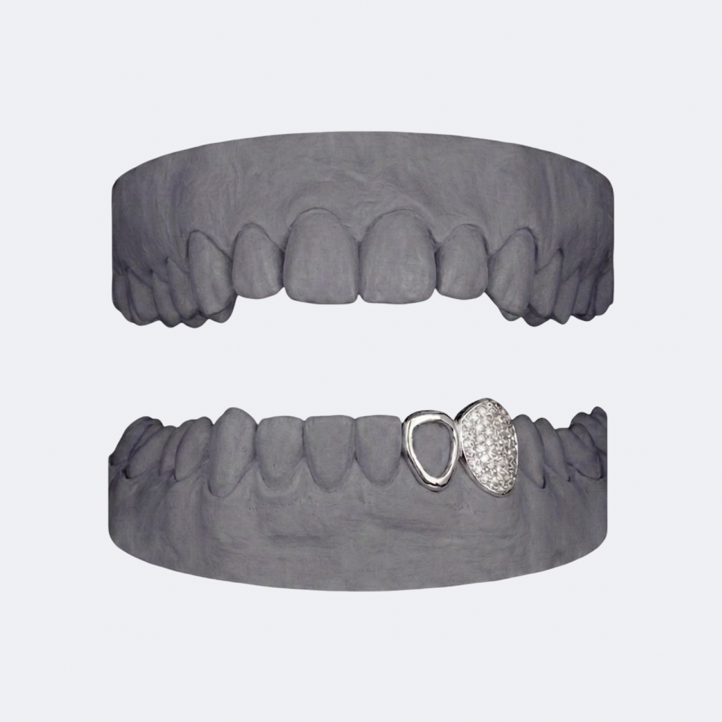 Iced Out Canine x Openface