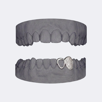 Iced Out Canine x Openface