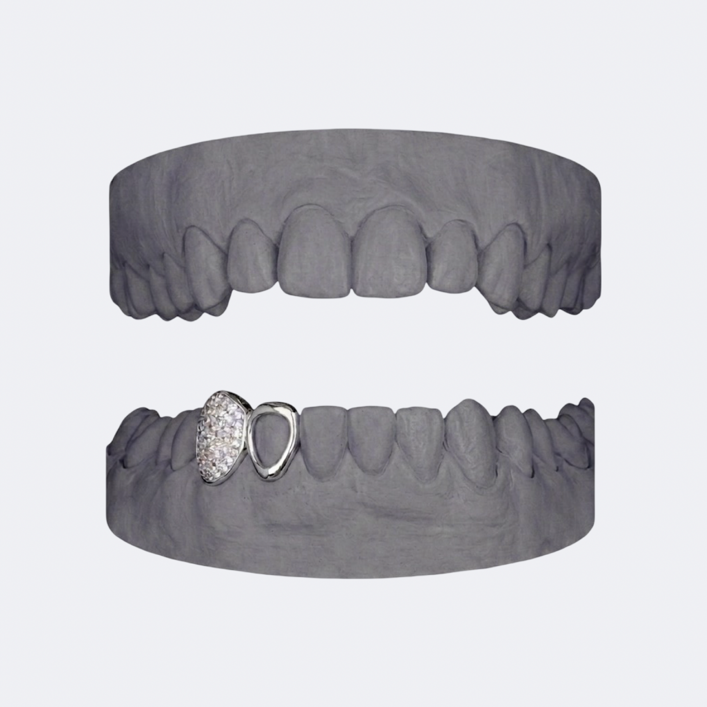 Iced Out Canine x Openface