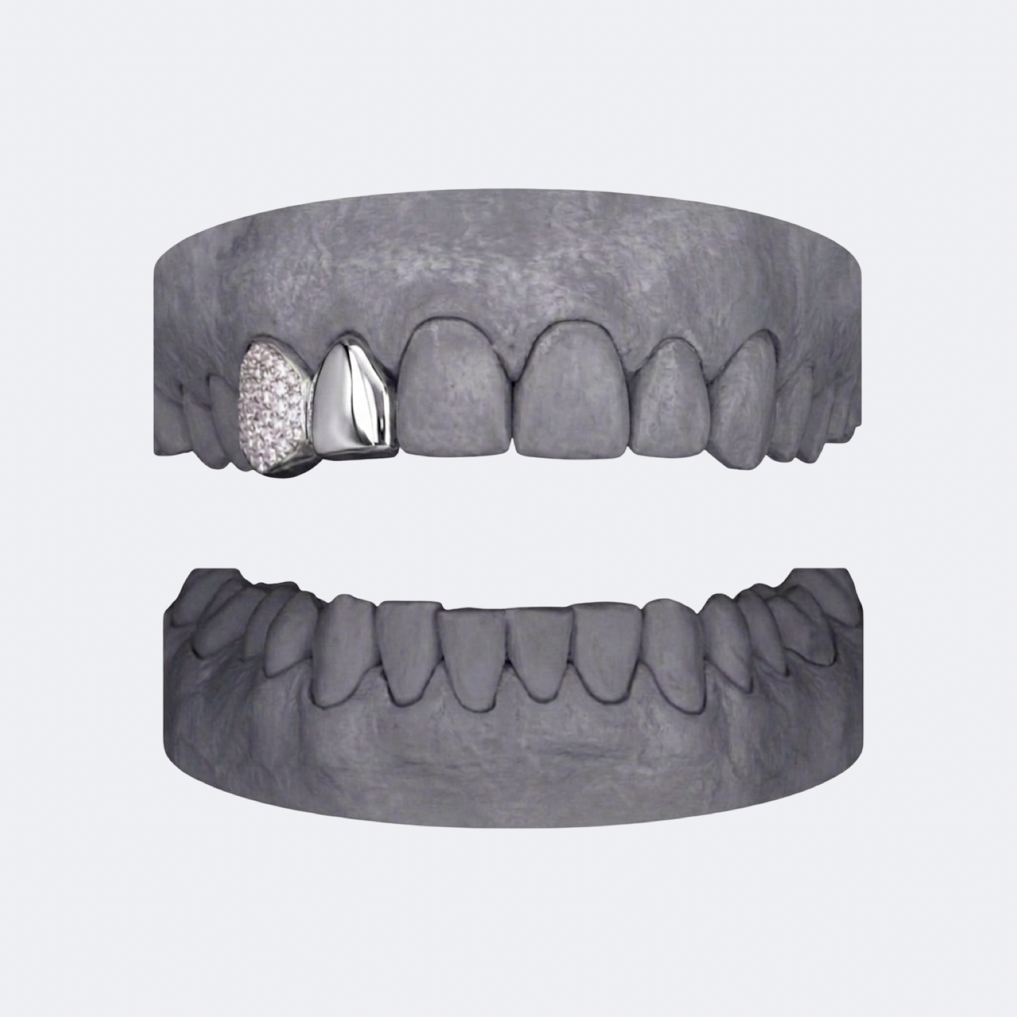 Solid & Iced Canine Double Cap