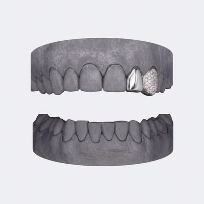 Solid & Iced Canine Double Cap