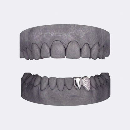 Solid & Iced Canine Double Cap