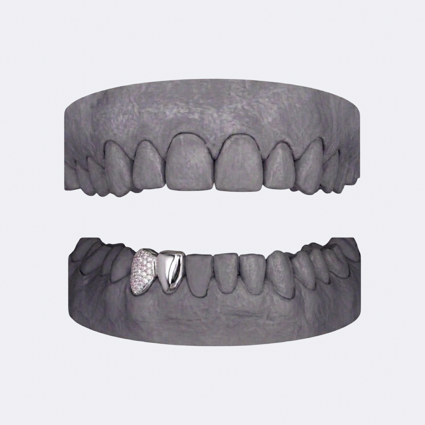Solid & Iced Canine Double Cap