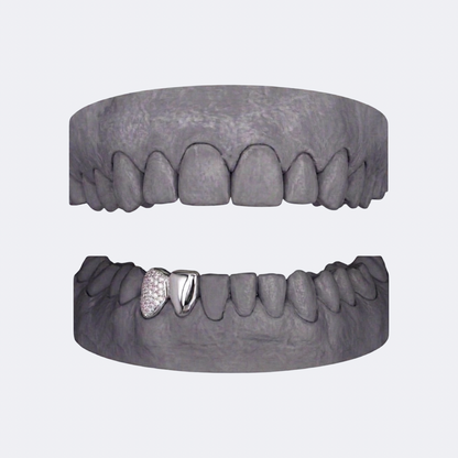 Solid & Iced Canine Double Cap