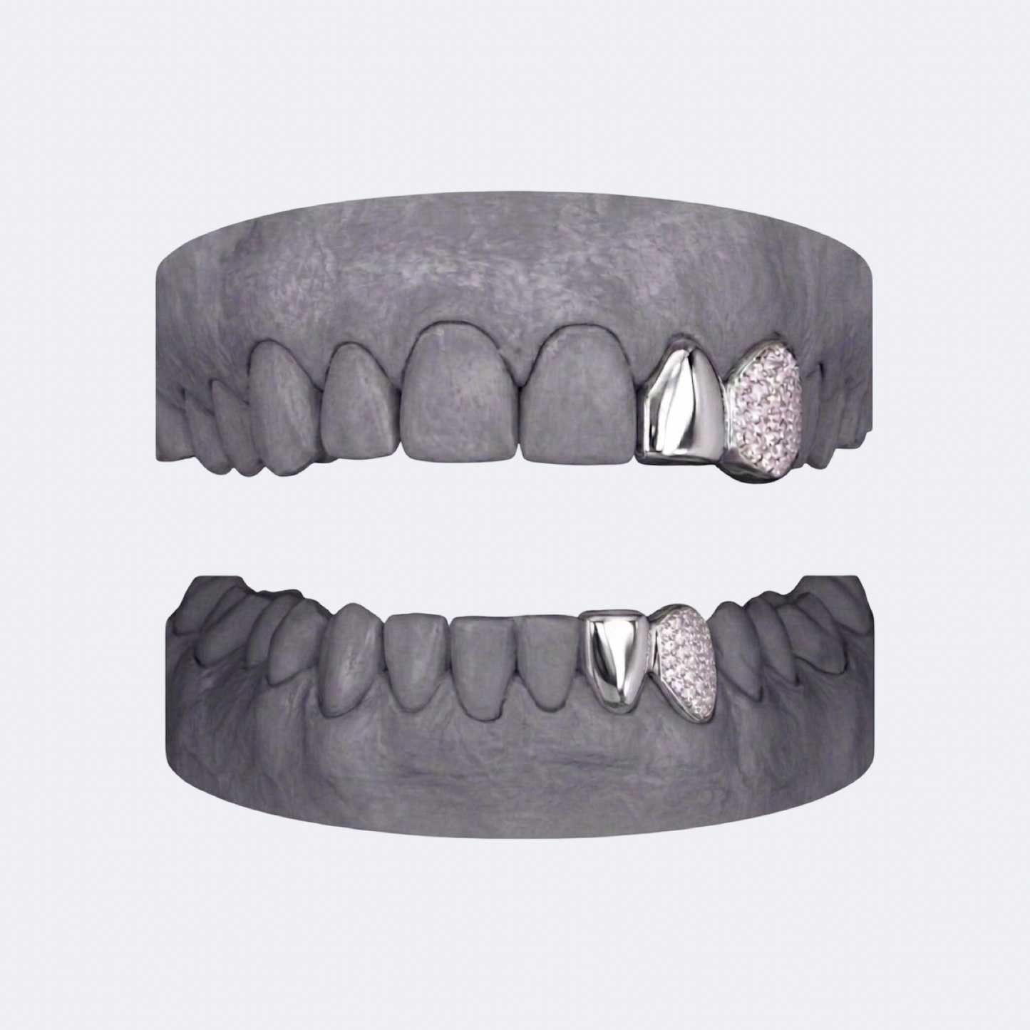 Solid & Iced Canine Double Cap