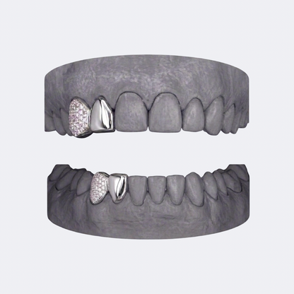 Solid & Iced Canine Double Cap