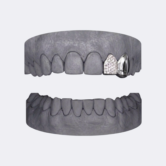 Solid & Iced (incisor) double cap