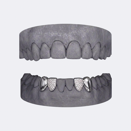 Solid & Iced (incisor) double cap