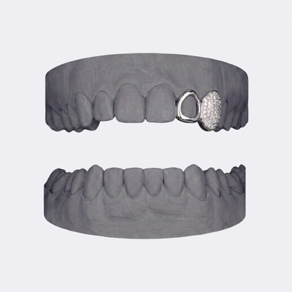 Iced Out Canine x Openface