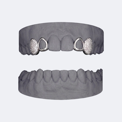 Iced Out Canine x Openface