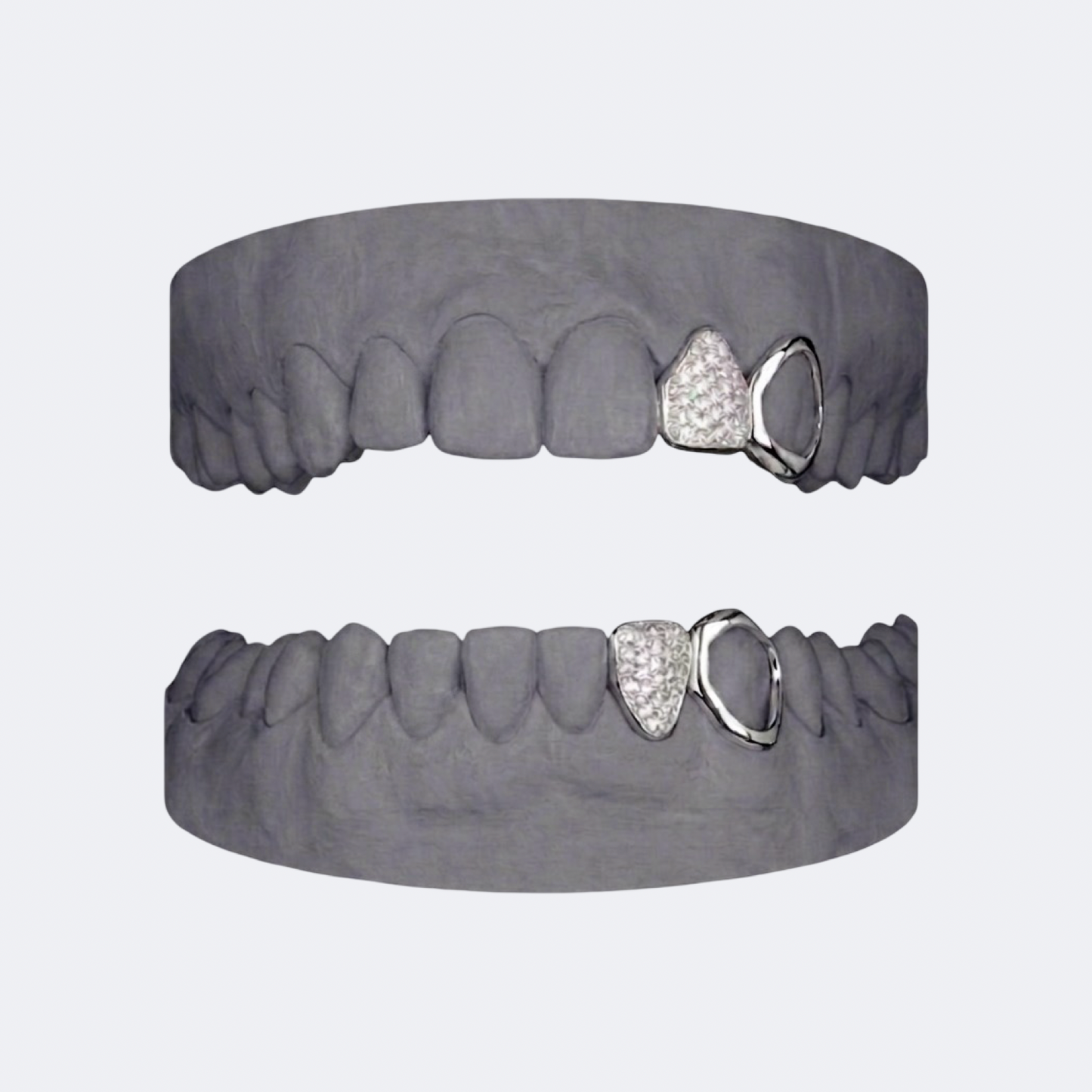 Iced Out x Openface Canine