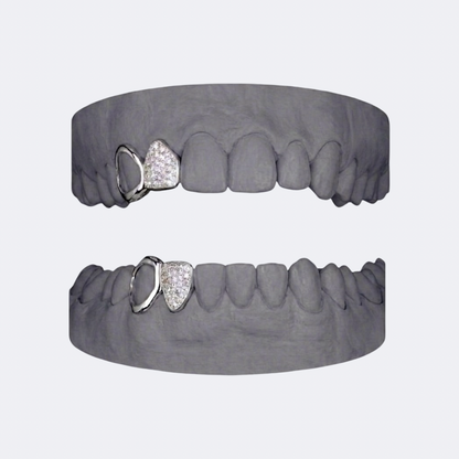 Iced Out x Openface Canine